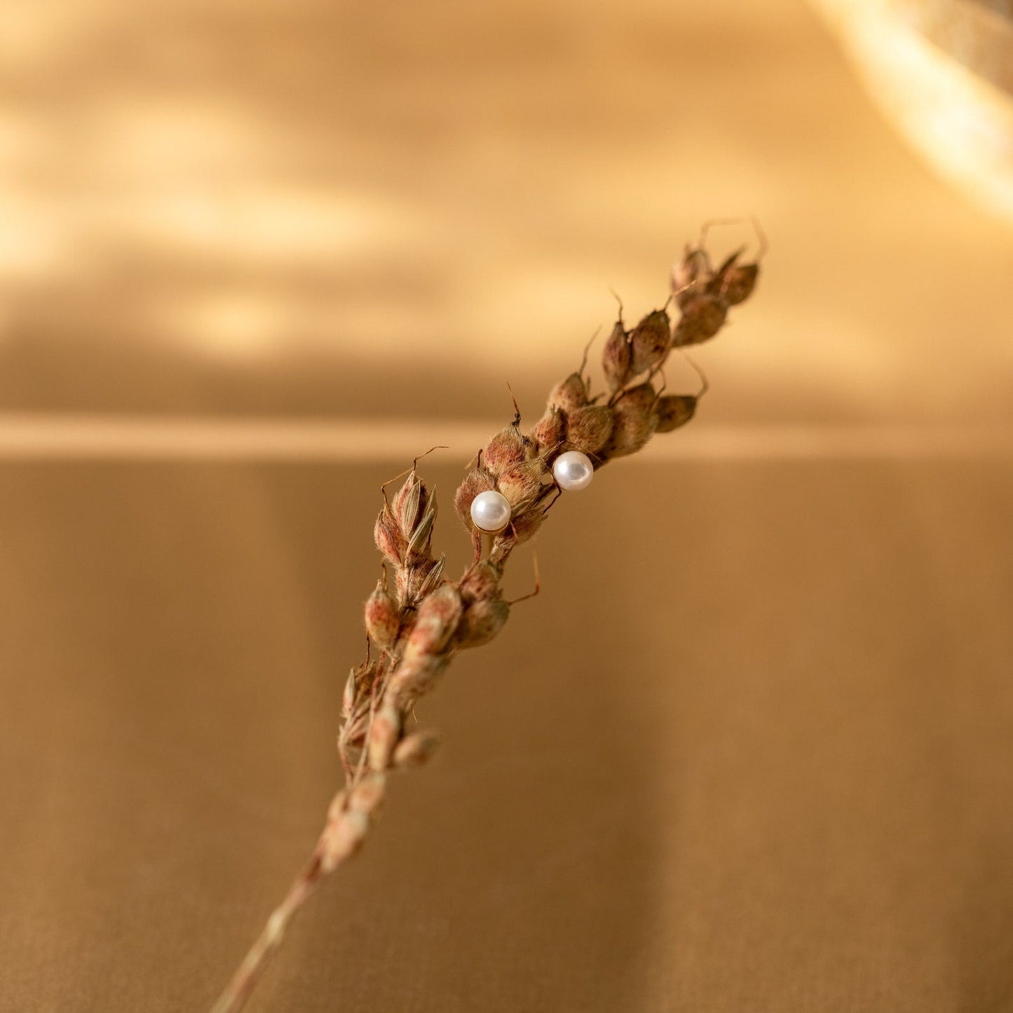 Timeless Elegance: Delicate Pearl Stud Earrings