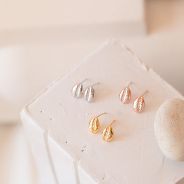 Embrace Coastal Chic: Cowry Shell Stud Earrings