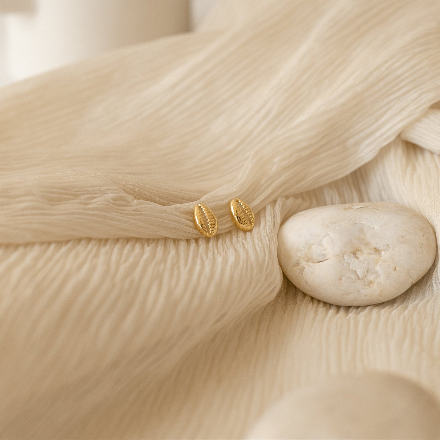 Embrace Coastal Chic: Cowry Shell Stud Earrings