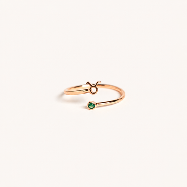 Zodiac Birthstone Ring