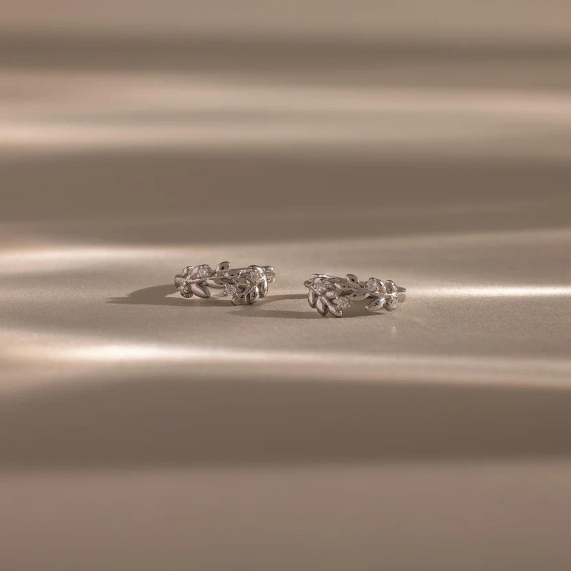 Pair of silver earrings on a beige background