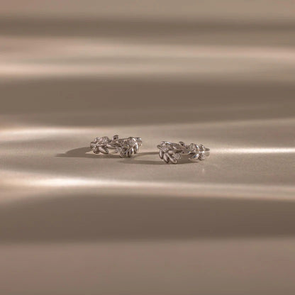 Pair of silver earrings on a beige background