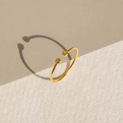 Tiny Dual Birthstone Ring