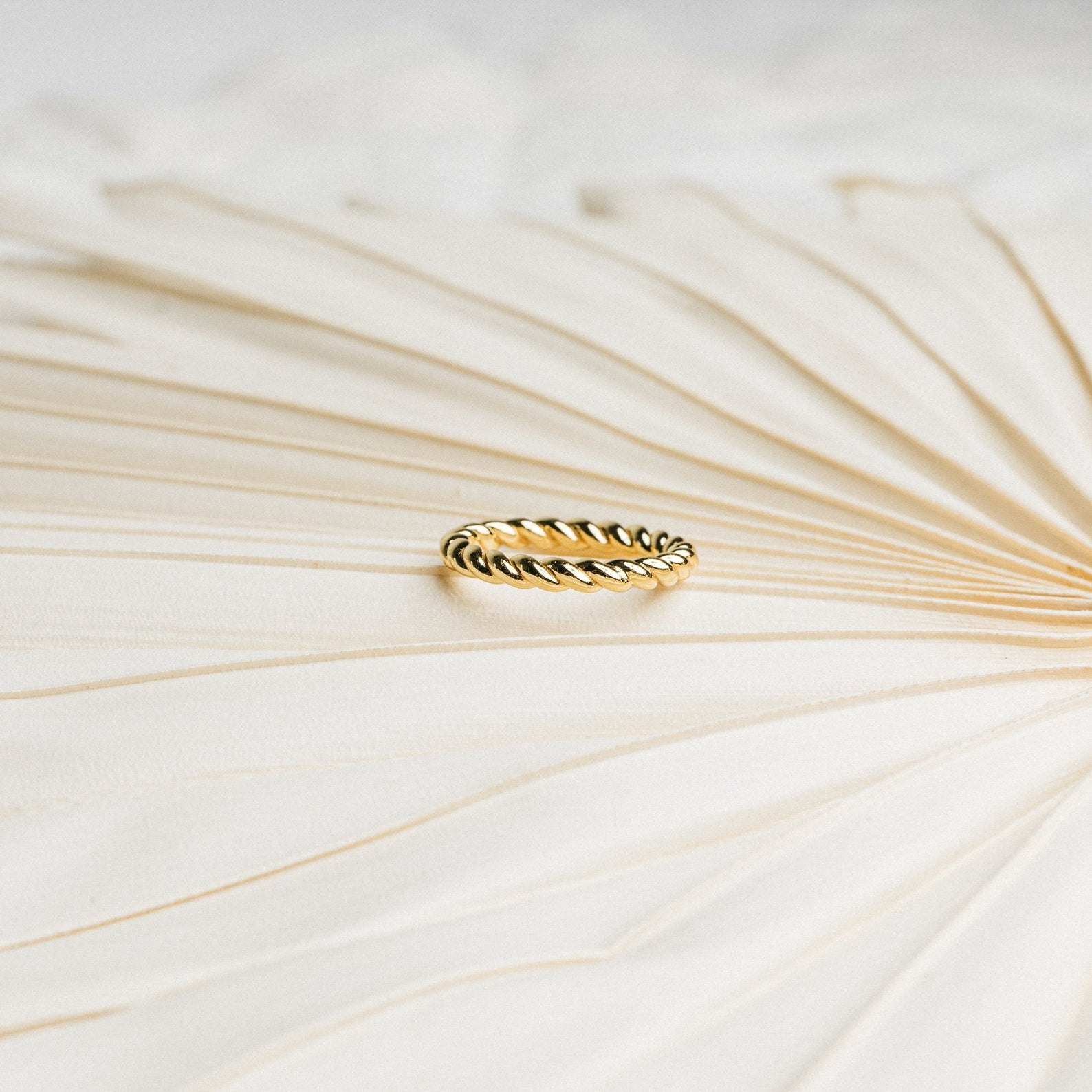 Bold Elegance: The Tia Thick Twist Ring