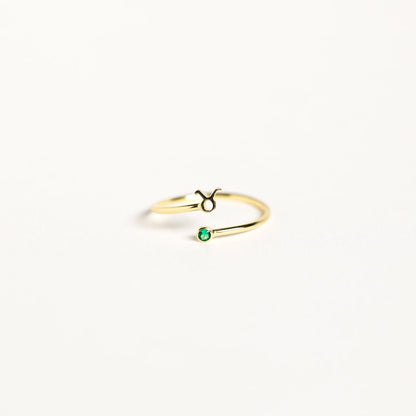Zodiac Birthstone Ring Sterling Silver