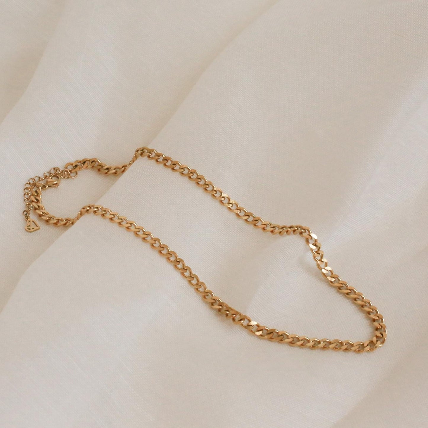 Make a Bold Statement with the Blake Thick Curb Necklace