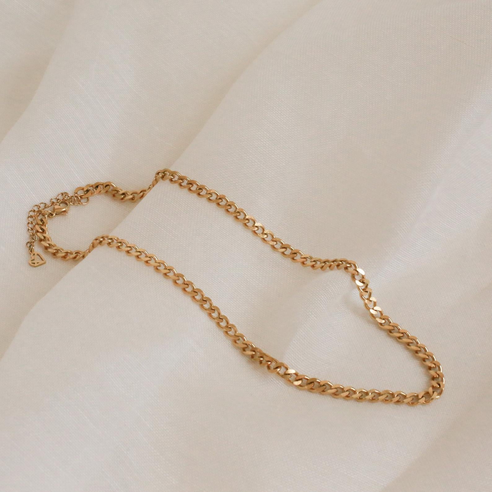 Make a Bold Statement with the Blake Thick Curb Necklace