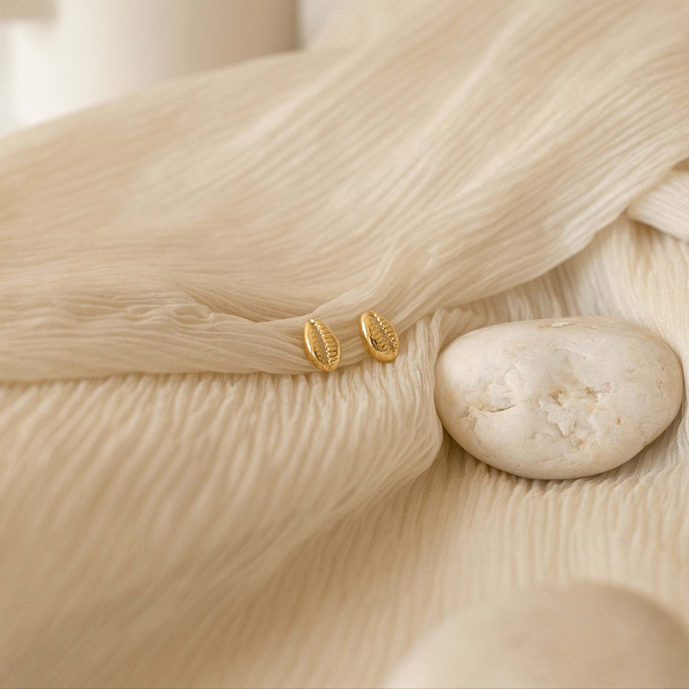 Embrace Coastal Chic: Cowry Shell Stud Earrings