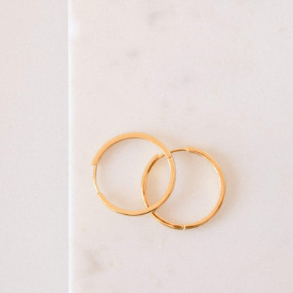 City Chic Essentials: Classic Midi Hoops