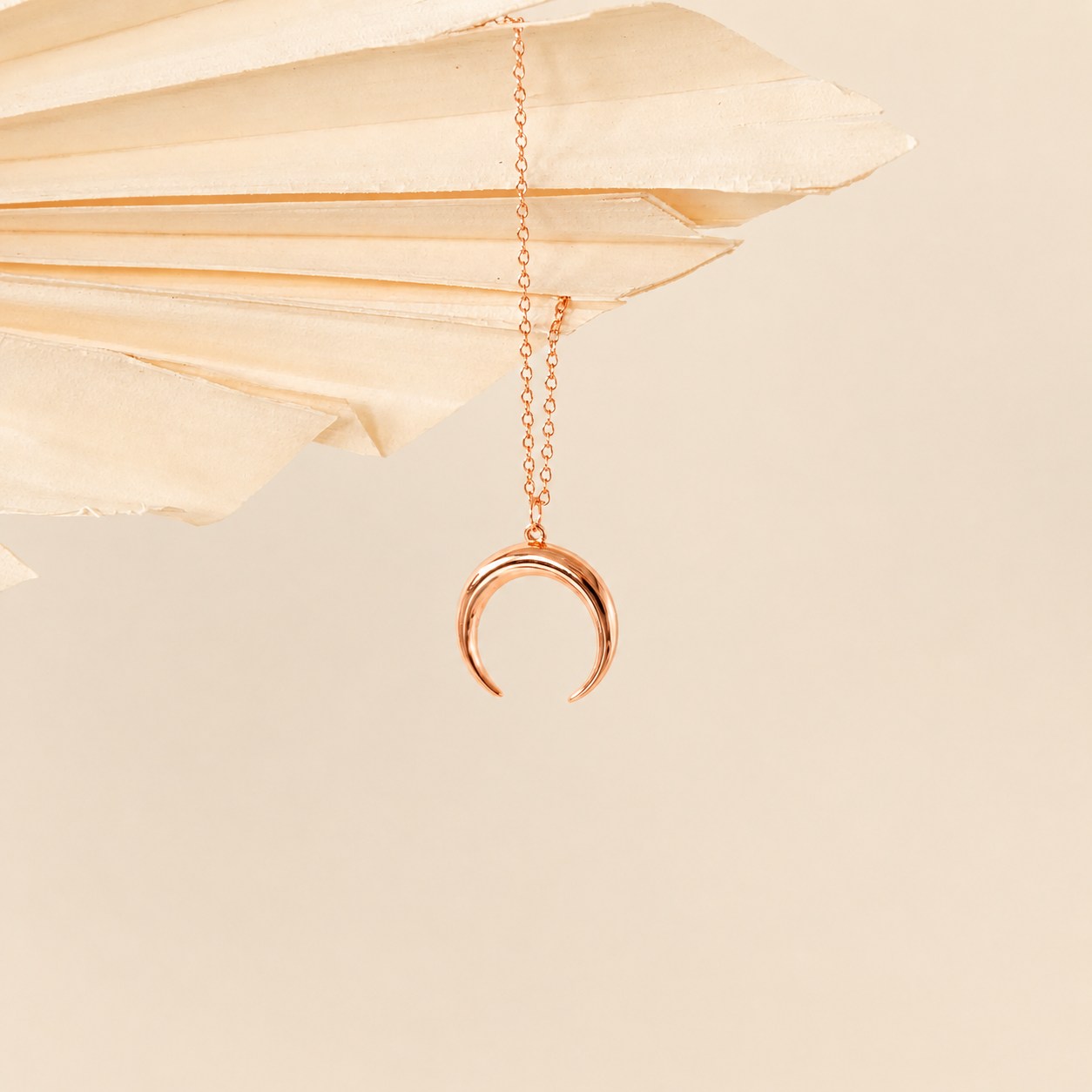 Crescent Moon Necklace