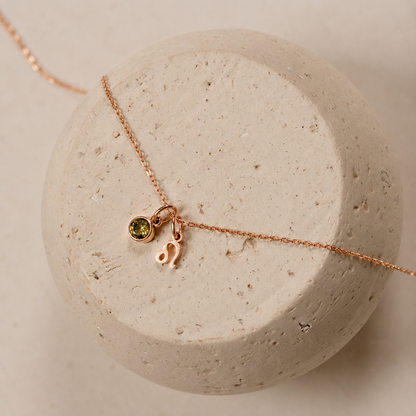 Zodiac Birthstone Necklace