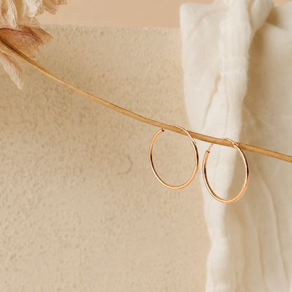Gold hoop earrings on a beige background with dried flowers