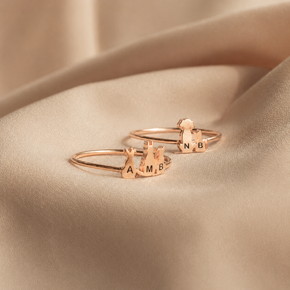 The Dainty 925 Sterling Silver Charm Ring