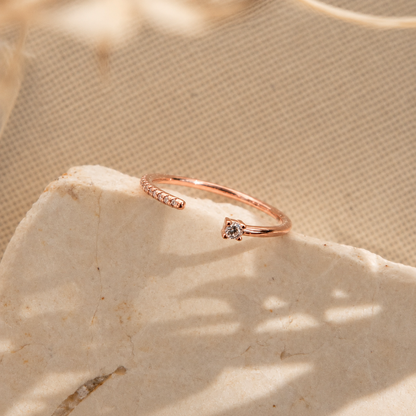 Cecilia Pave Ring