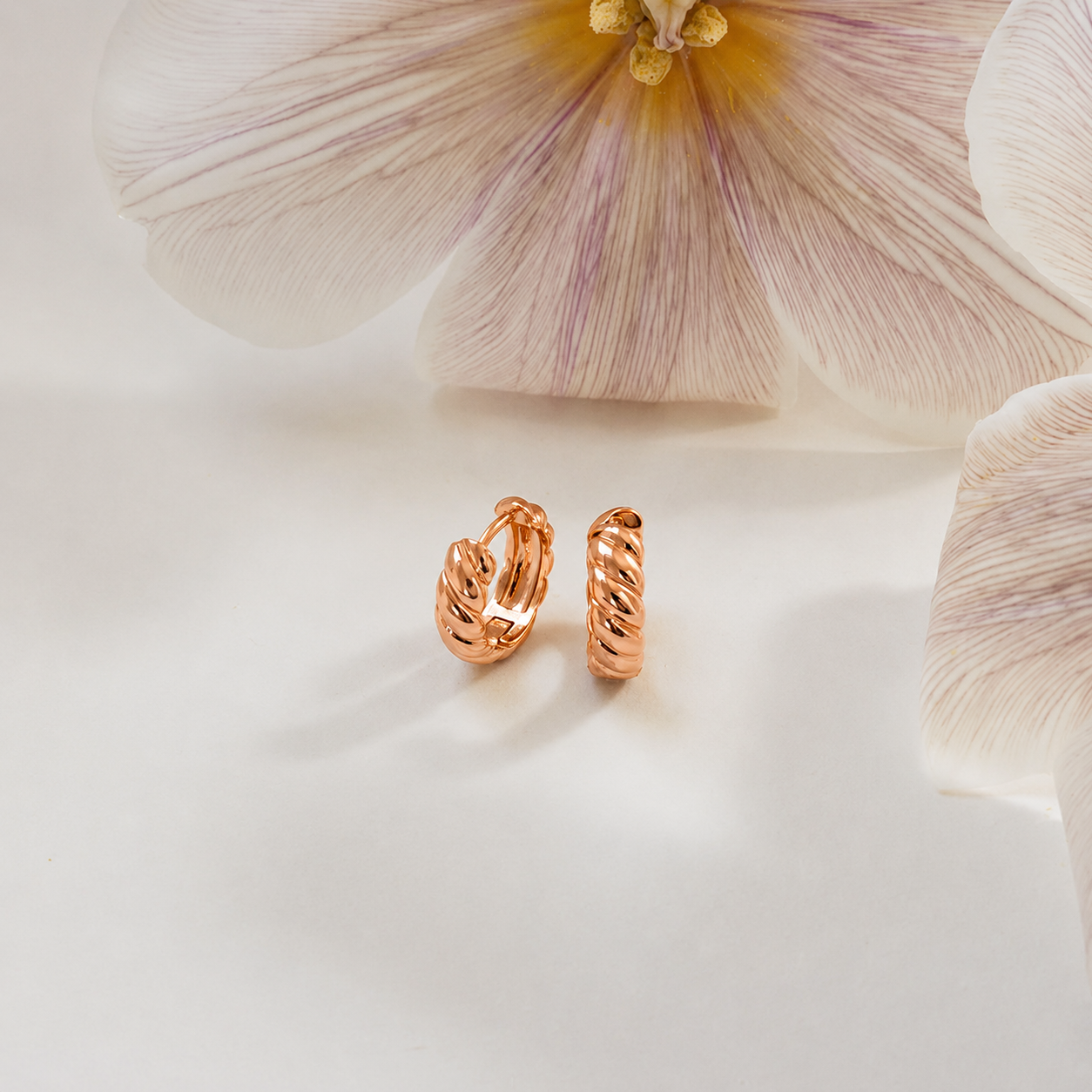 Morgan Croissant Hoops