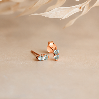 Duo Birthstone Studs