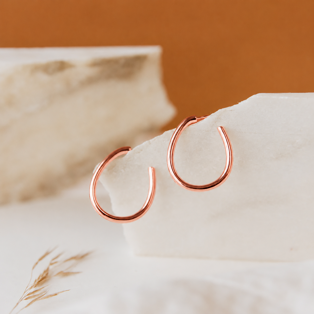 Anine Oval Hoops