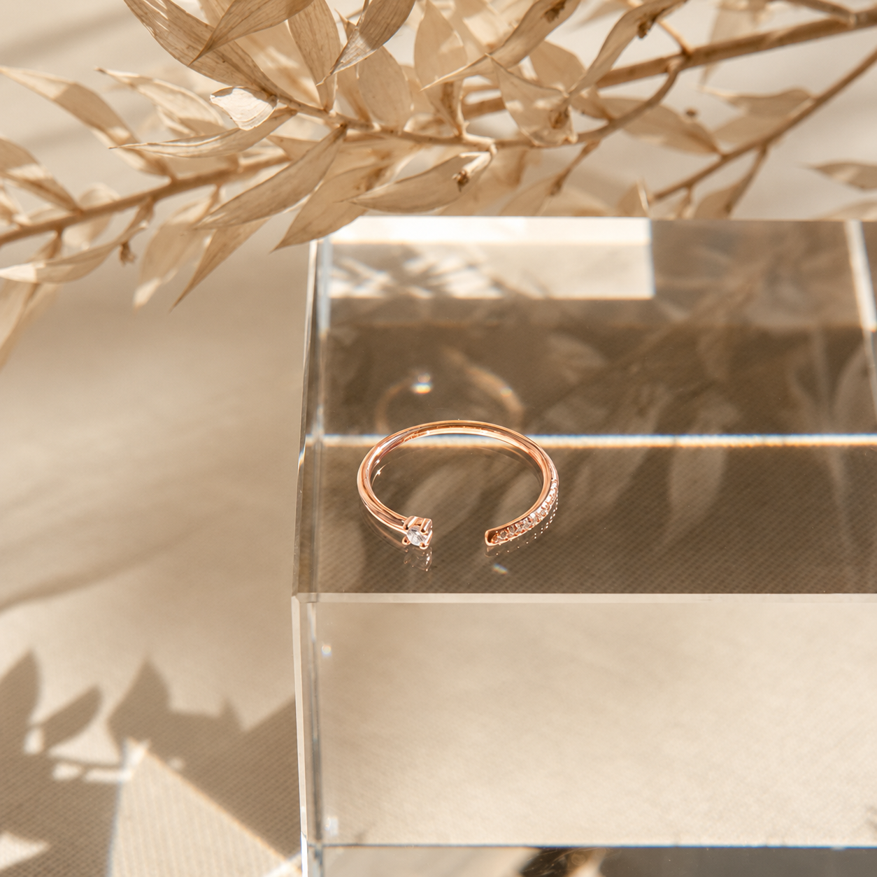 Cecilia Pave Ring