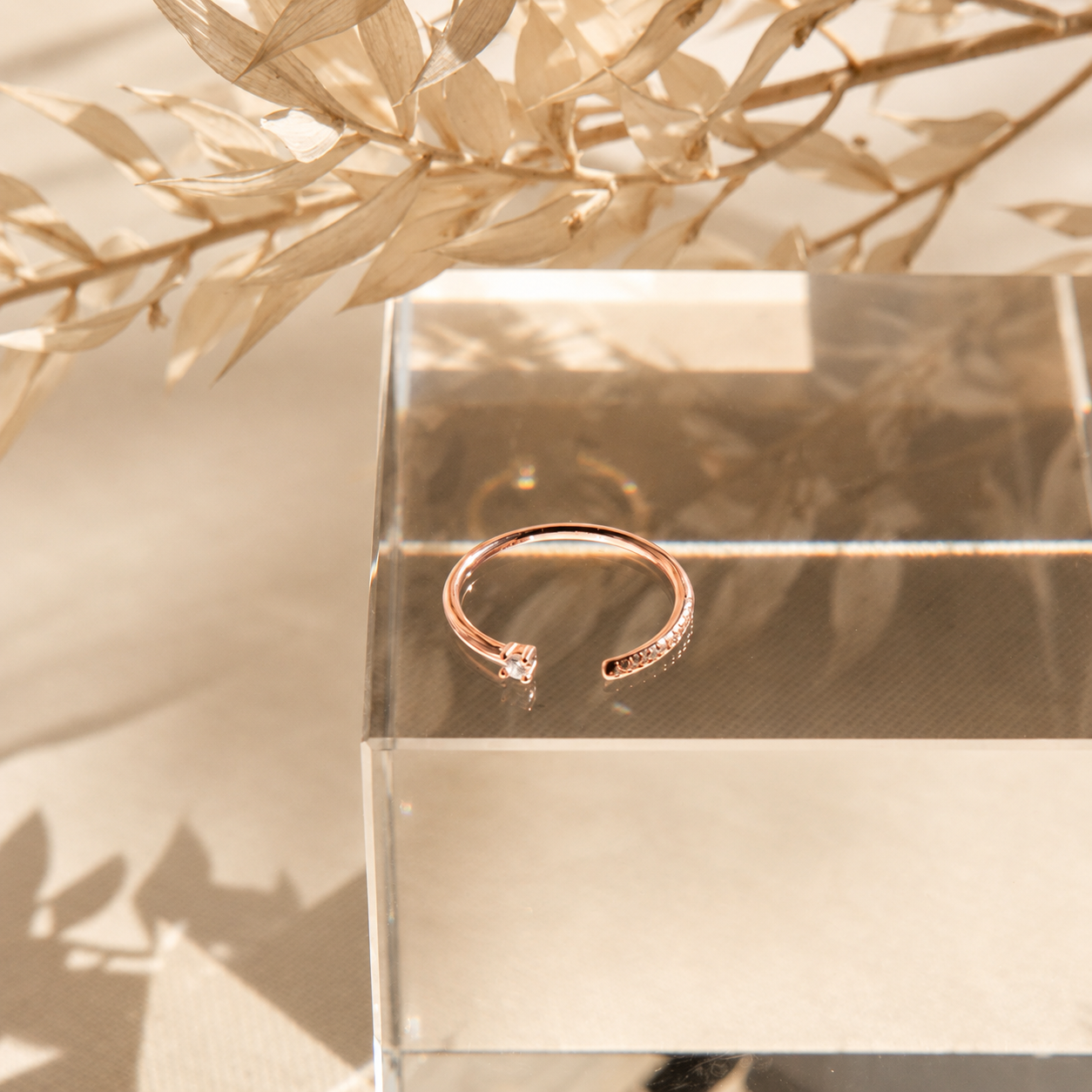 Cecilia Pave Ring