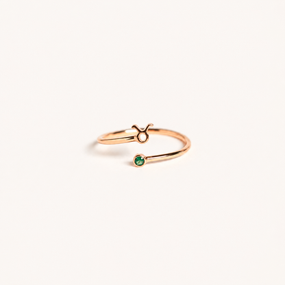 Zodiac Birthstone Ring