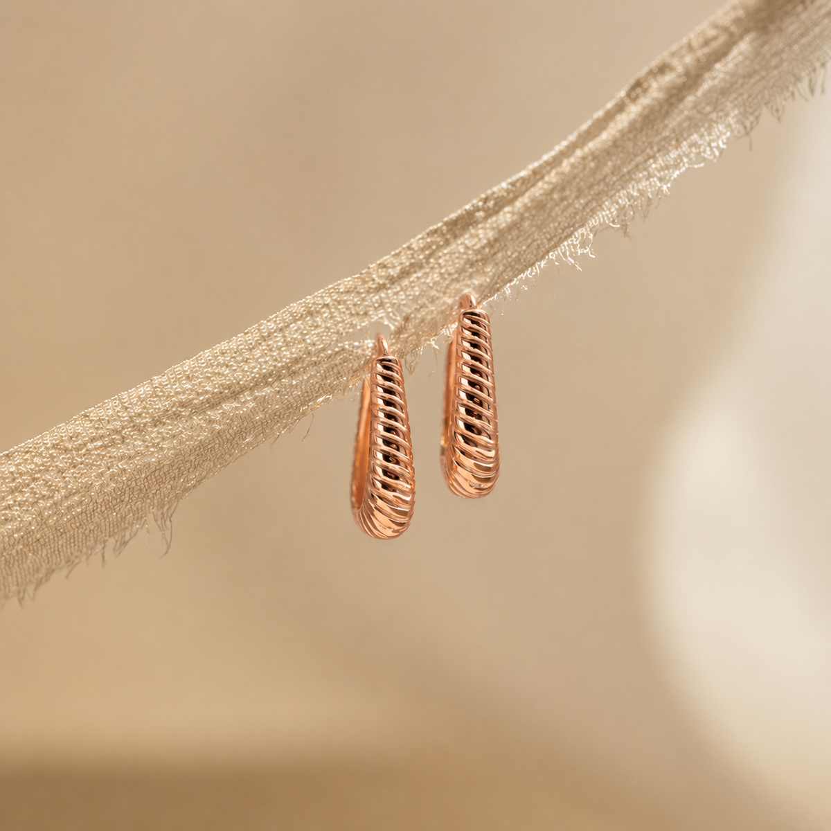 Rose gold hoop earrings on a beige branch with a soft focus background
