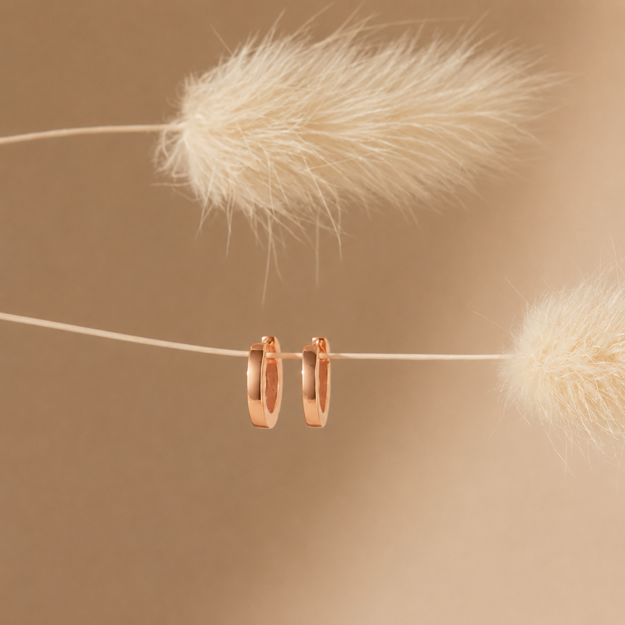 Rose gold hoop earrings hanging on a string with dried grasses against a beige background