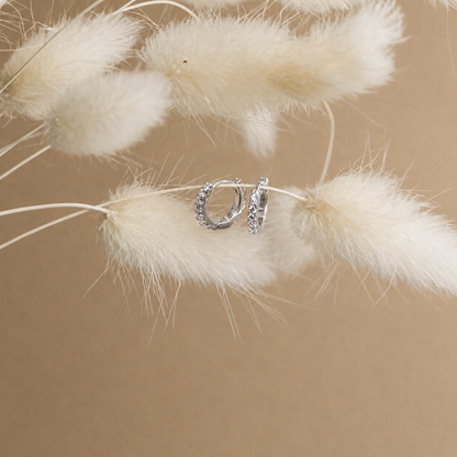 Coco Pave Huggie Hoops
