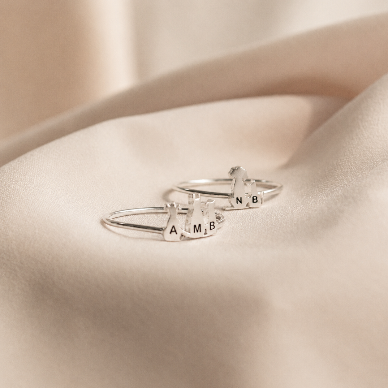 The Dainty 925 Sterling Silver Charm Ring