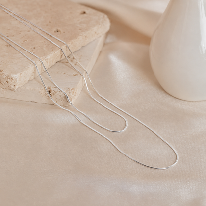 Double Snake Chain Necklace