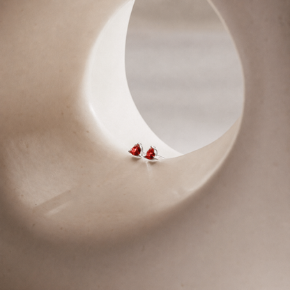 Two red objects inside a circular concrete structure