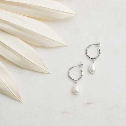 Silver hoop earrings with pearls on a light surface with dried leaves.