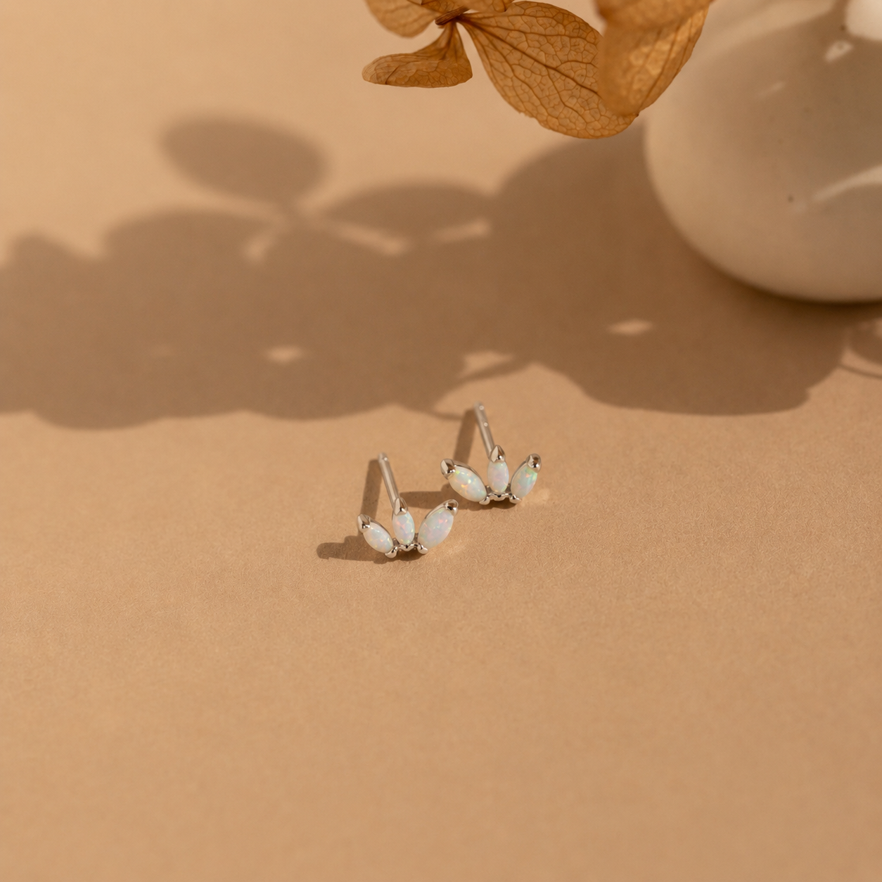Pair of silver earrings with gemstones on a beige surface with dried leaves.