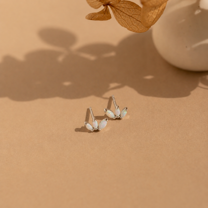 Pair of silver earrings with gemstones on a beige surface with dried leaves.