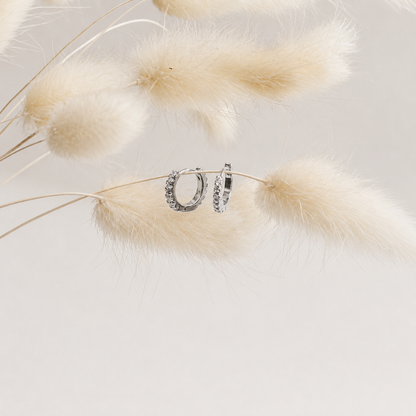 Coco Pave Huggie Hoops