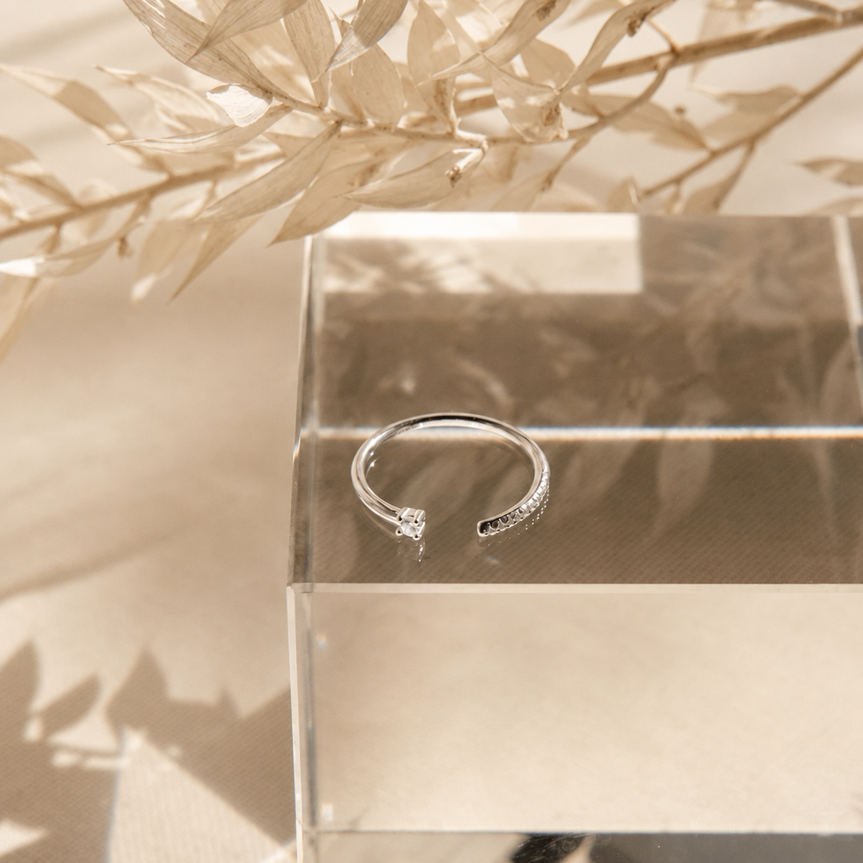 Cecilia Pave Ring
