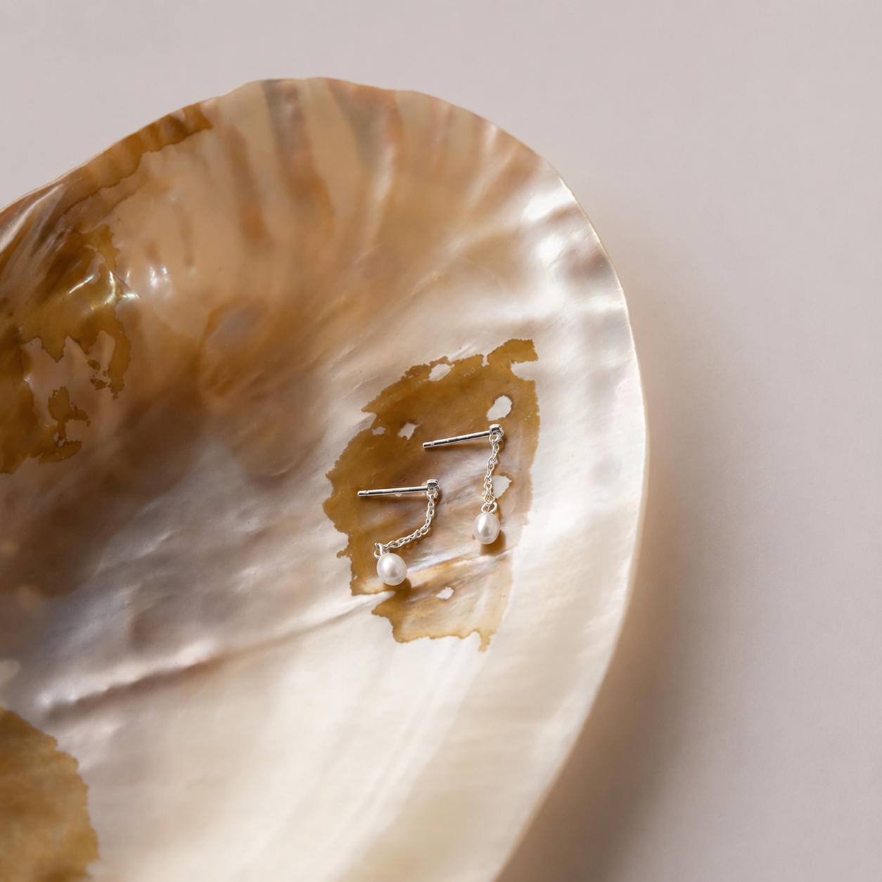 Two silver earrings inside a shell on a light background
