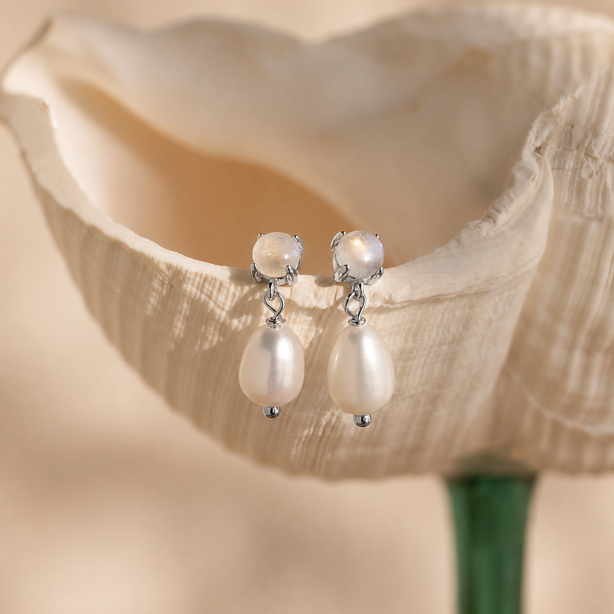 Pearl earrings on a shell with a soft focus background