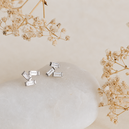 Silver stud earrings on a light beige surface with dried flowers.