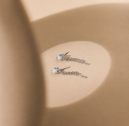Pair of silver earrings with gemstones on a beige background