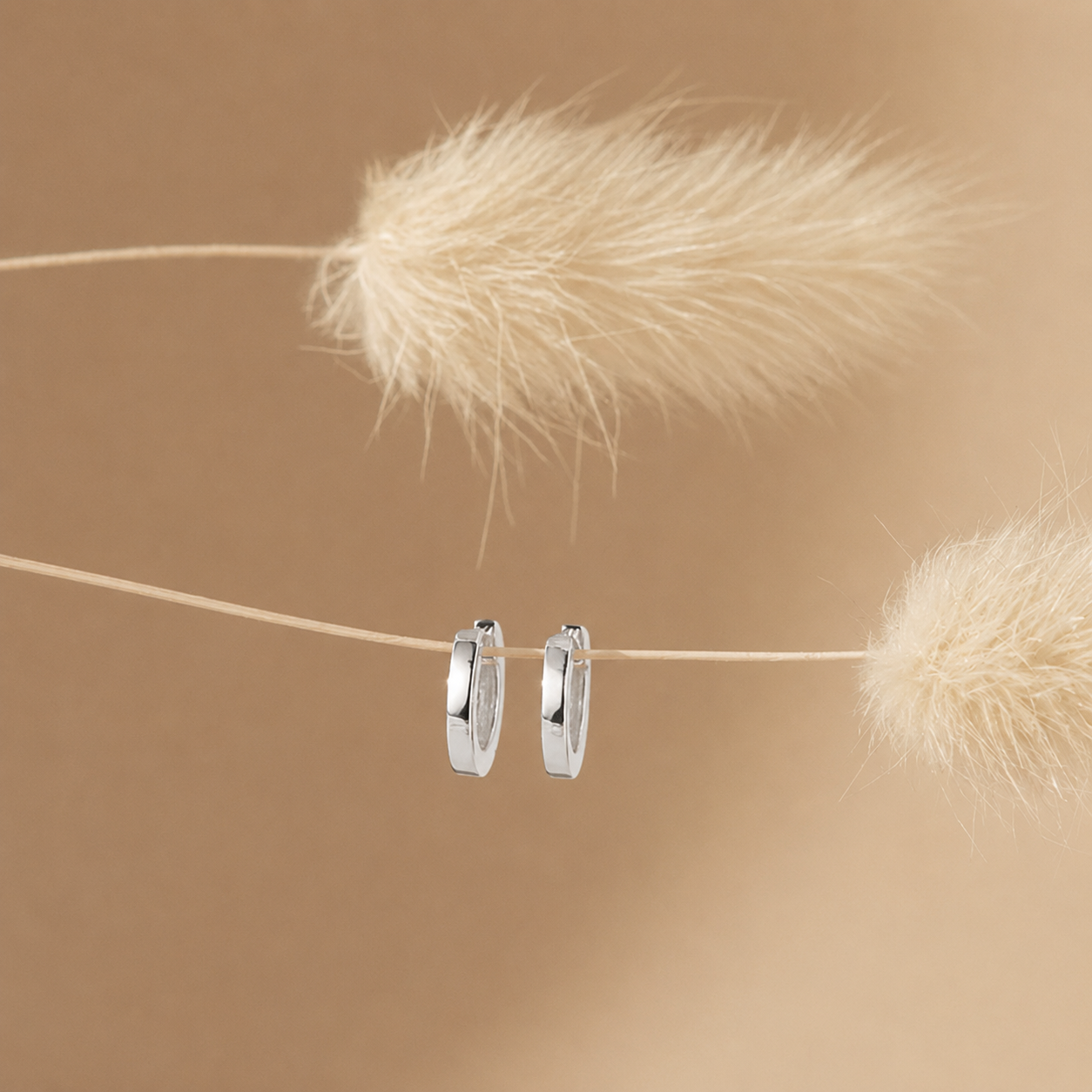 Silver hoop earrings hanging on a string with dried grasses against a beige background