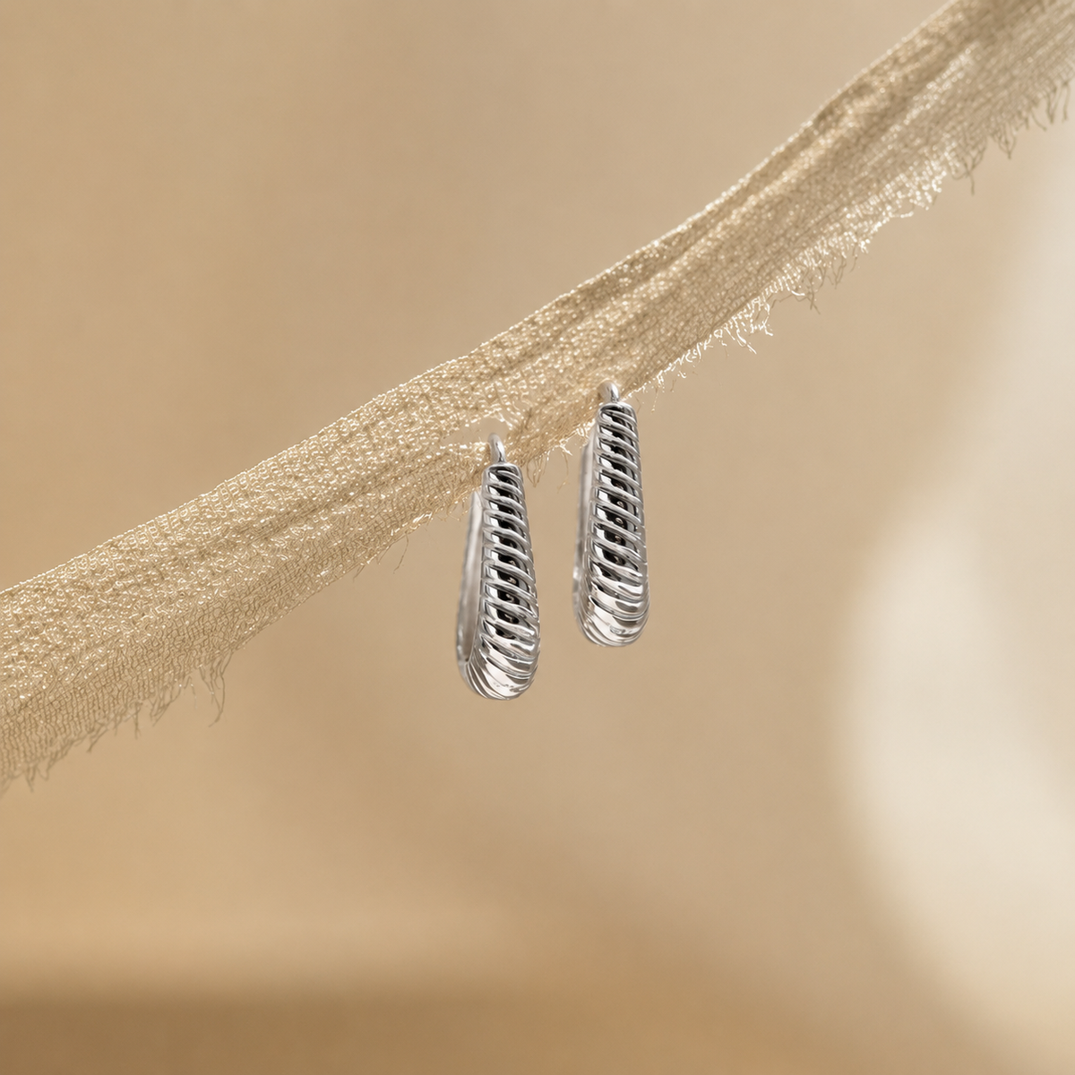 Silver earrings on a textured beige branch