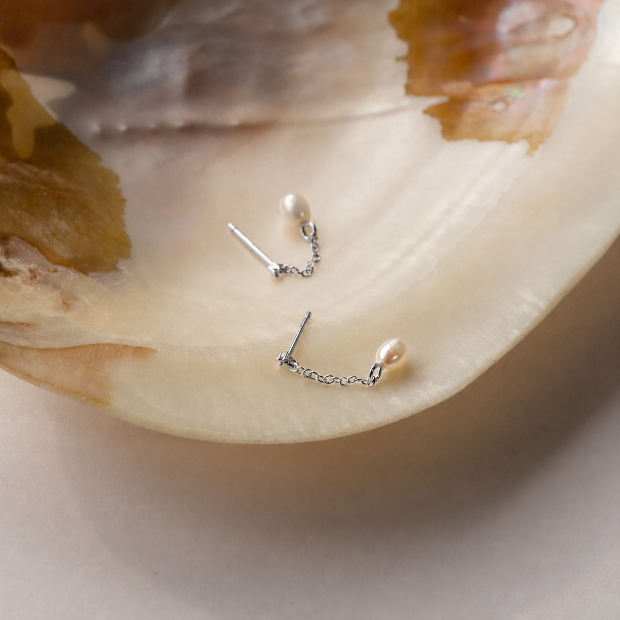 Pair of pearl earrings on a shell